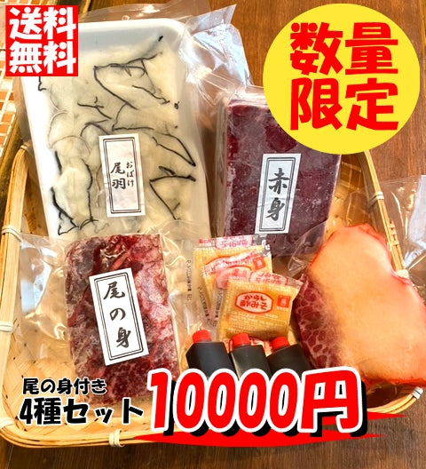 尾の身付き　鯨くじら ギフト セット  贈り物 食品 グルメ　生食用　お刺身用 本格派ギフト　お中元 御中元 2024